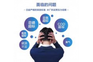 憑什么說庫(kù)巴魯脫氮技術(shù)可以取得那么好的效果