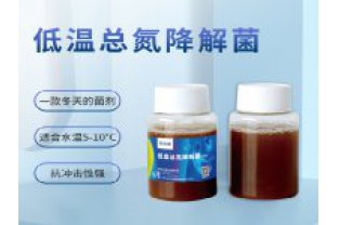 反硝化細菌在污水處理中的具體應用是什么?